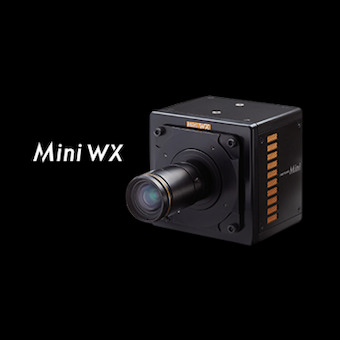 mini WX