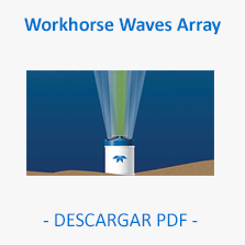 Workhorse Waves Array