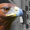 Aguila ace basler